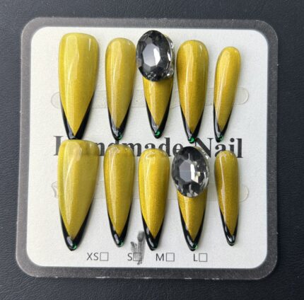 Trendy Western Long Stiletto Nails(A-C-26)